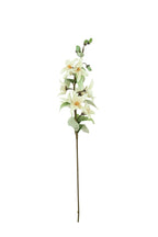 CSL2795